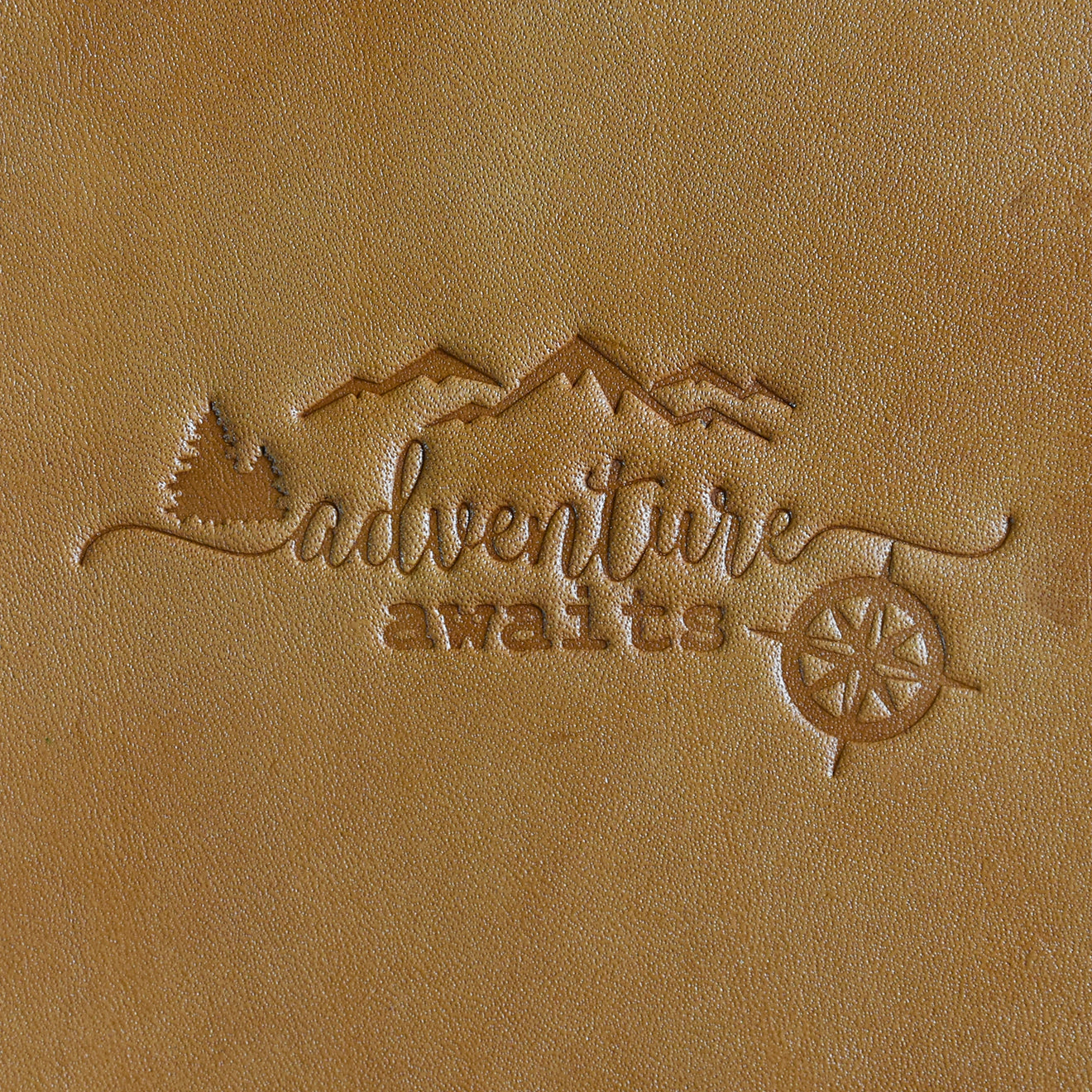 Hình dập nhiệt Adventure Awaits/MP016 - Halcyon VN
